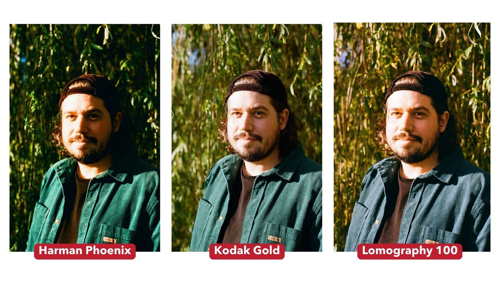 Chris Portrait Comparaison entre Phoenix, Gold et Lomo